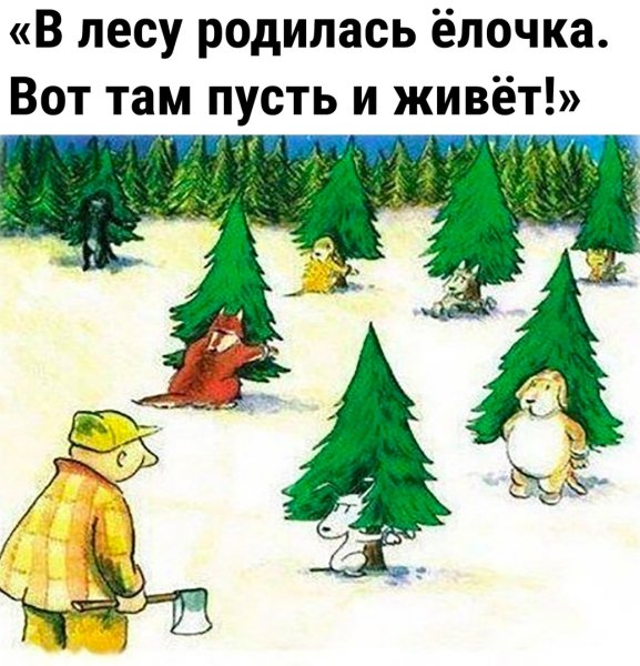 Плакат берегите елку