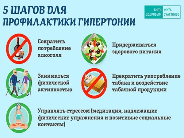 Первичная профилактика гипертонической болезни