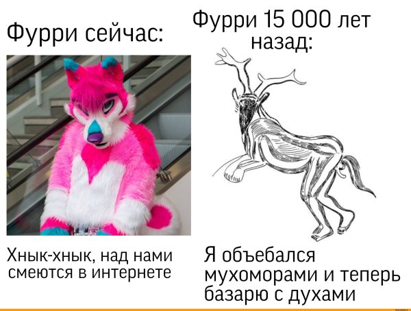 Фурри Мем