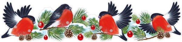 Снегирь картинка для детей