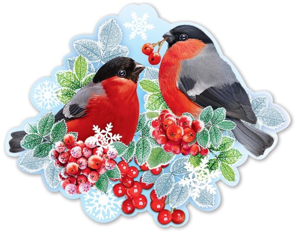 Снегирь на белом фоне