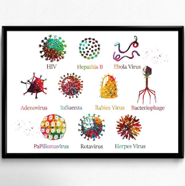 Вирусы инфа плакат