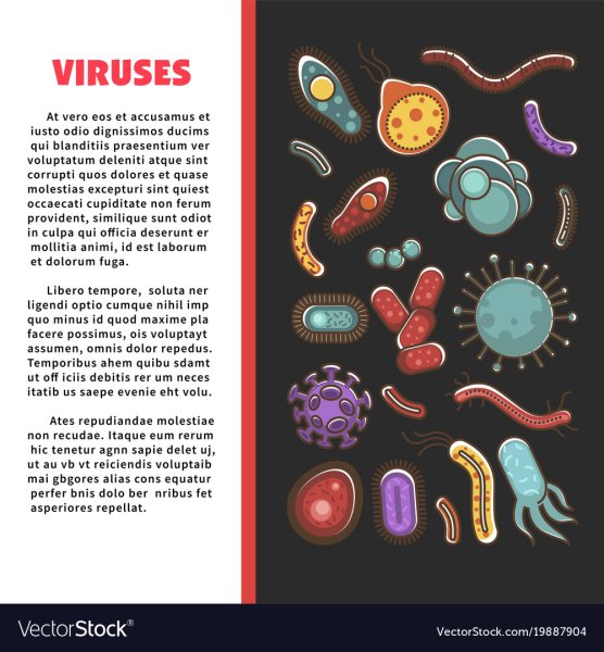 Микробиология плакат