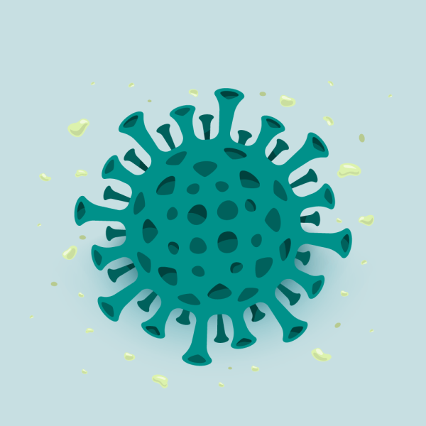 Памятка компьютерные вирусы