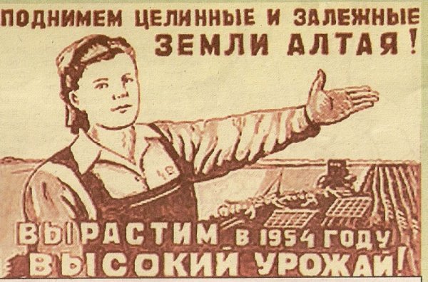 Целина на Алтае 1954