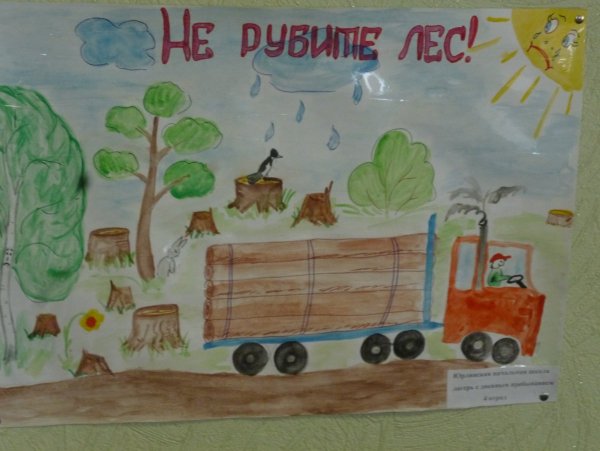 Возрождение леса Гринпис