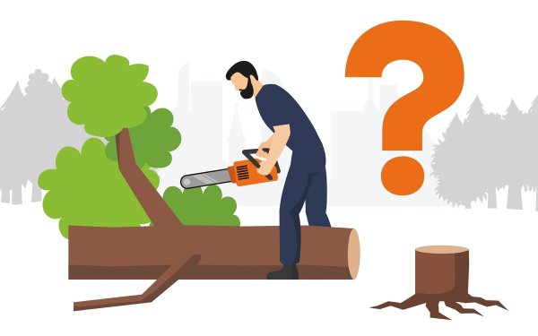 Креативная экология