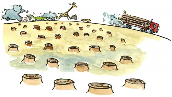 Реклама против вырубки лесов