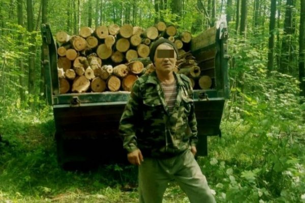 Рисунок на тему исчезновение тропических лесов