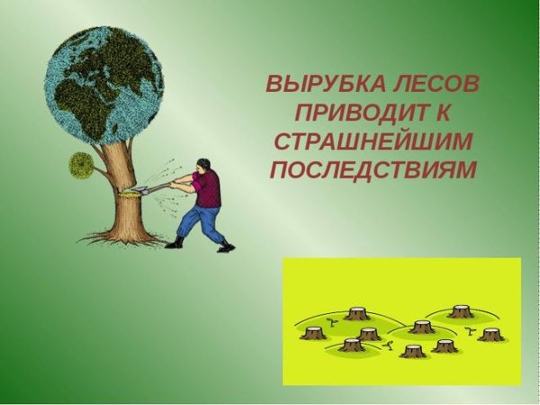 Берегите лес от вырубки