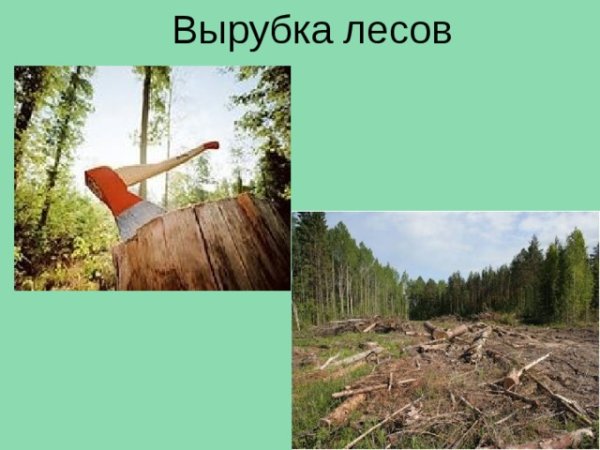 Дерево карикатура