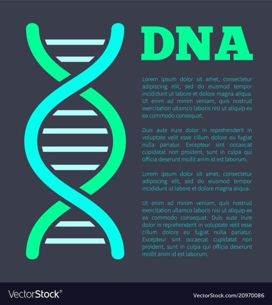 Заголовки с DNA