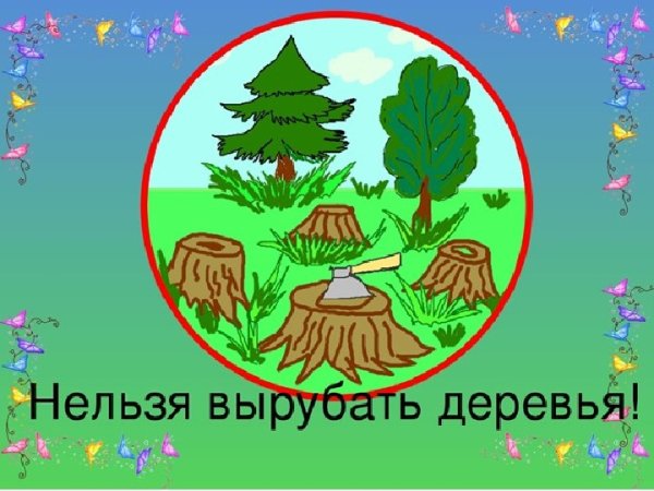 Нельзя вырубать леса