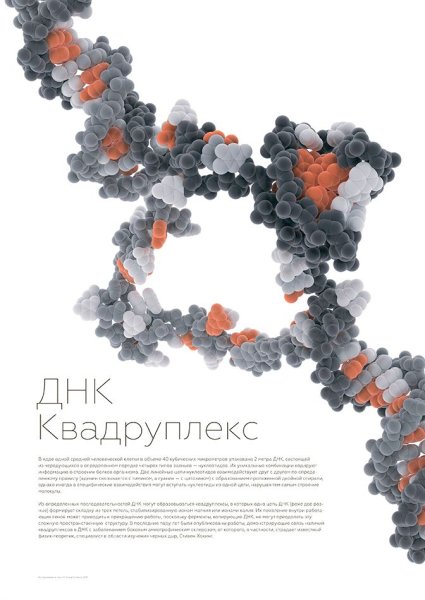 ДНК структура плакат