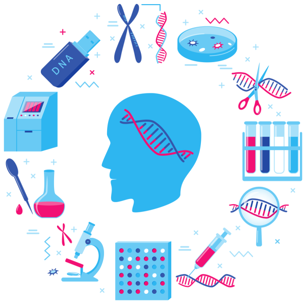 Бак исследований вектор