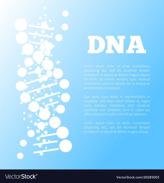 ДНК постеры к программе