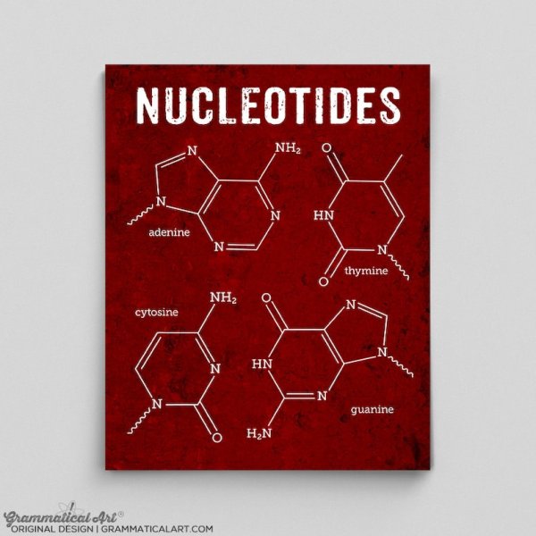 ДНК постеры к программе