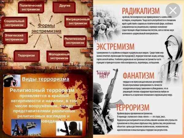 Противодействие терроризму и экстремизму