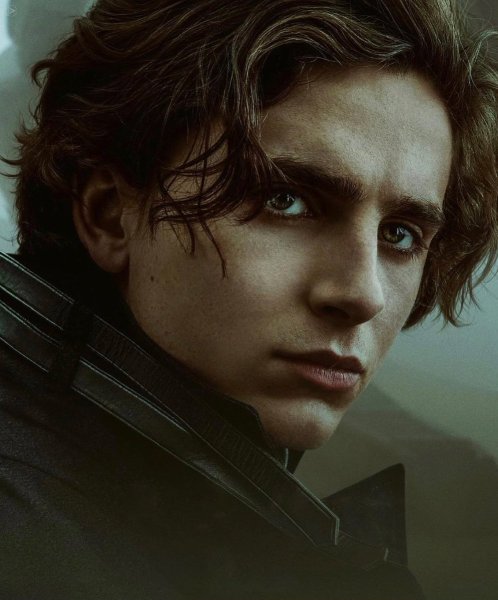 Тимоти Шаламе Дюна