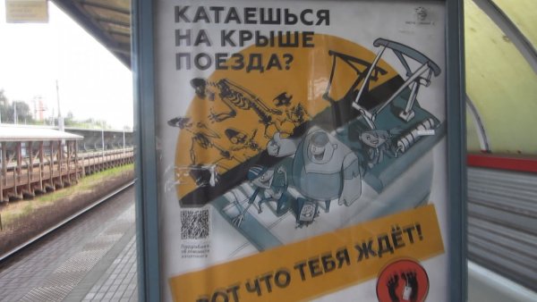 Зацепинг тупиковая ветвь эволюции