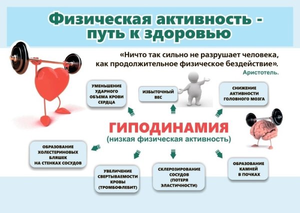 Профилактика физической активности