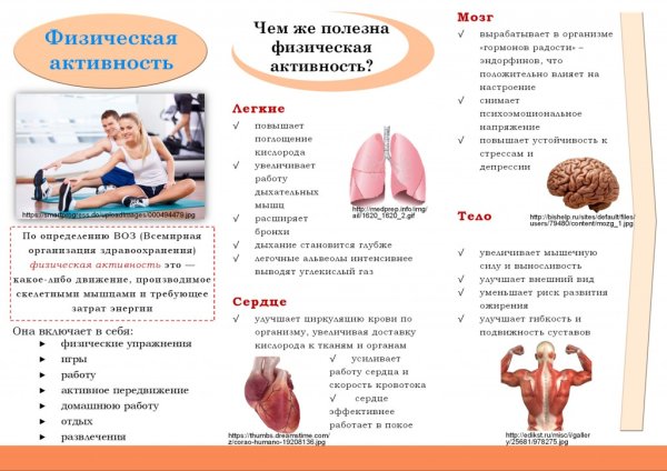 Гиподинамия симптомы