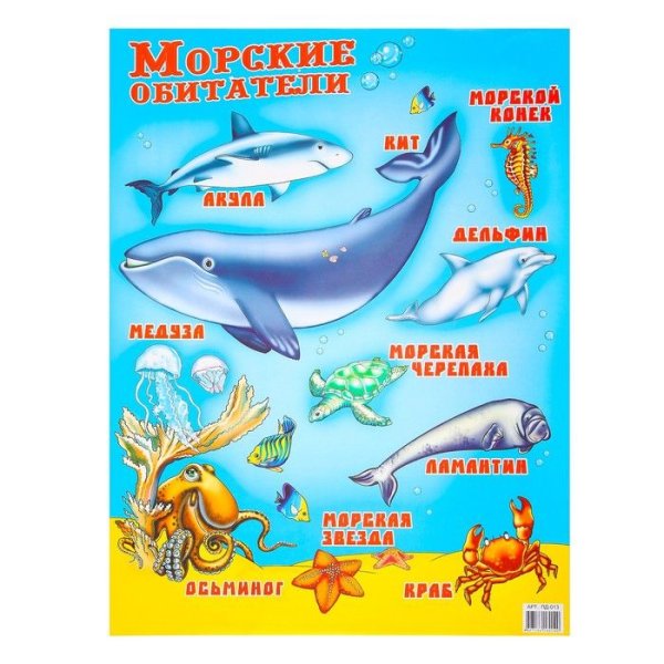 Плакат "обитатели моря"