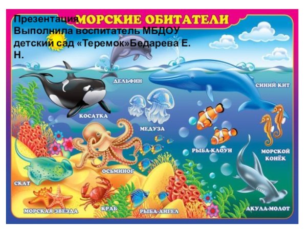 Животные морей и океанов для детей