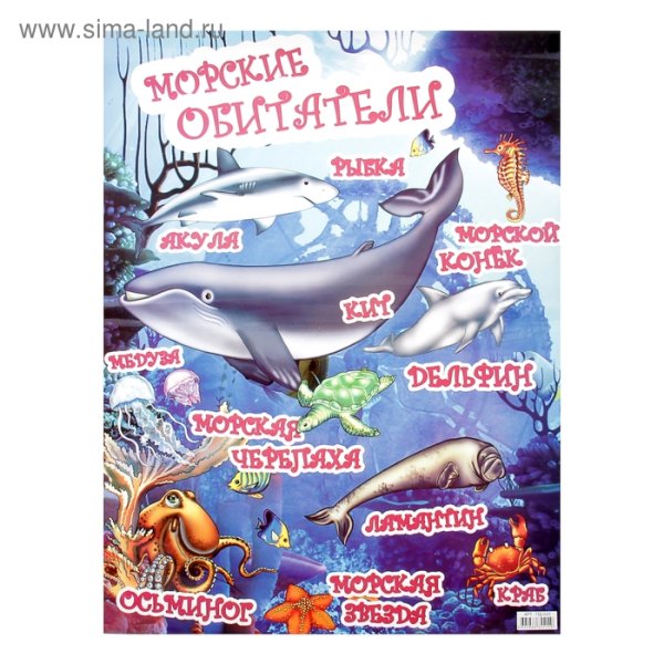 Плакат "обитатели моря"