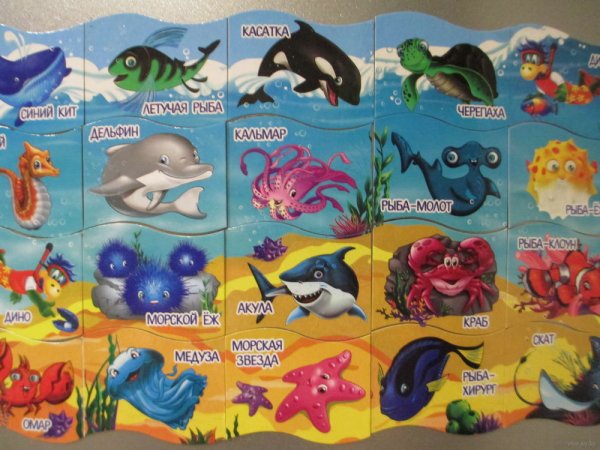 Магниты Растишка морские