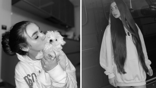 Собака леди Дианы Банни