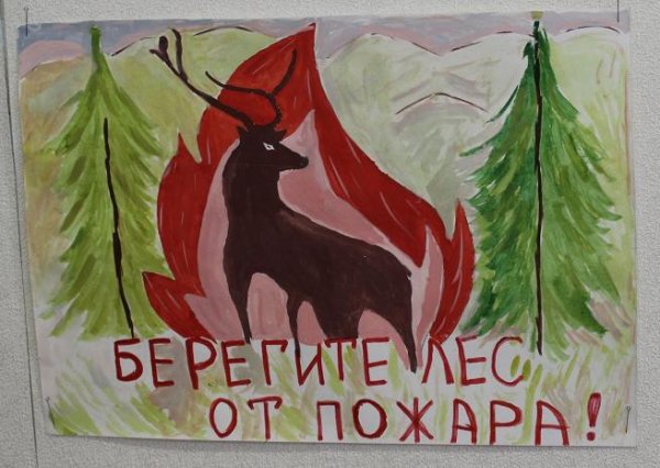 Плакат береги лес