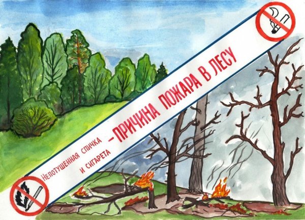 Сохраним лес от пожара