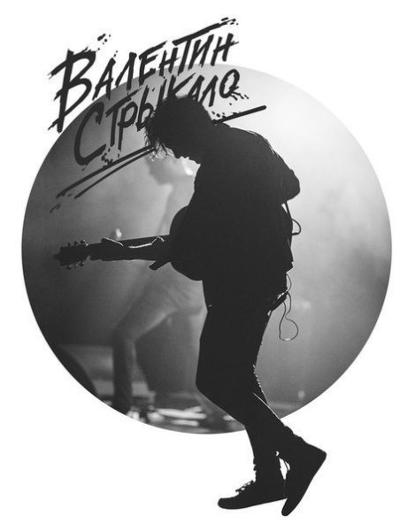 Валентин Стрыкало логотип
