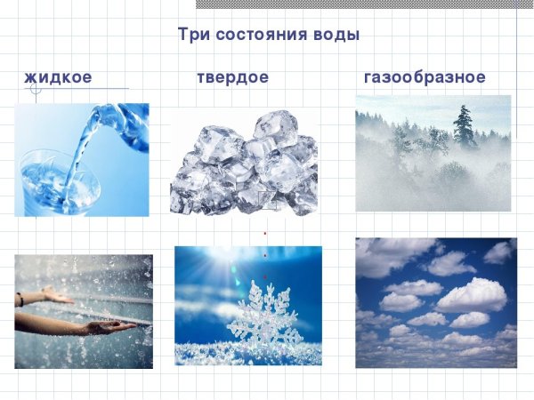 Вода для дошкольников