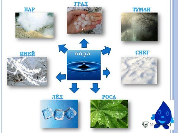 Эксперименты для дошкольников