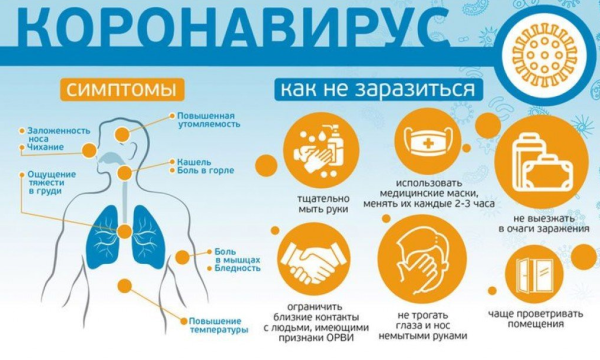 Мерыпрофилактиики Конона вируса