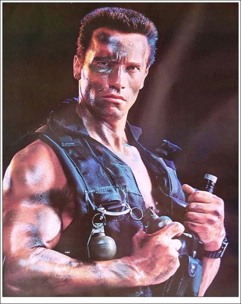 Арнольд Шварценеггер Джон Мэтрикс