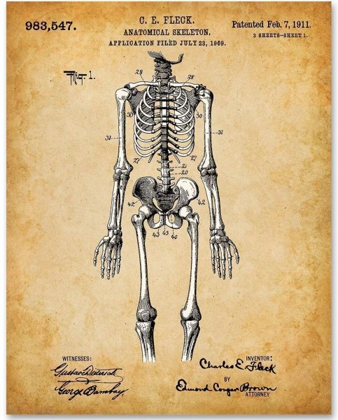 Обои Танцующие скелеты