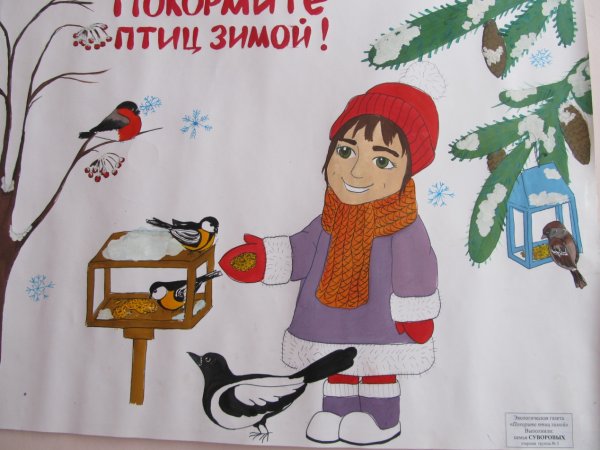 Плакат поможем зимующим птицам