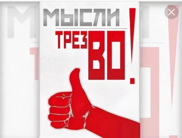 Я люблю жить трезво