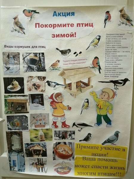 Плакаты в защиту зимующих птиц