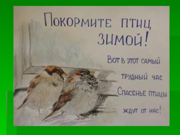 Листовка Покормите птиц