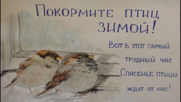 Плакат кормушка для птиц