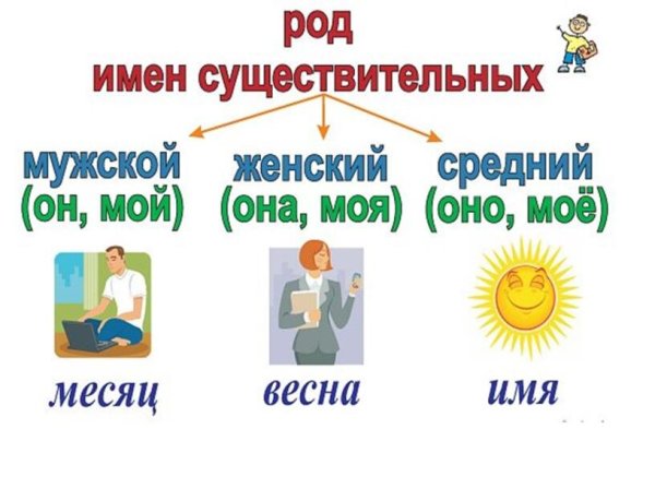 Род и число имен существительных