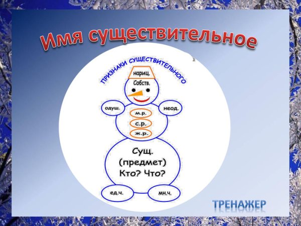 Имя существительное 3 класс