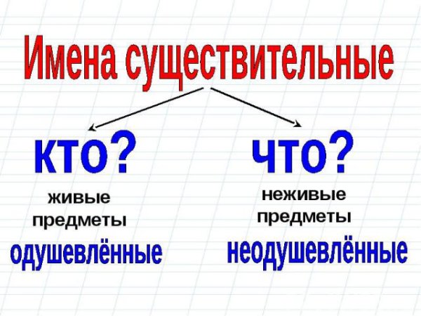 Морфологический разбор существительного таблица
