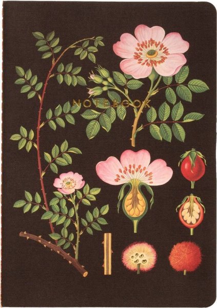 Ботанический атлас Джейн Лаудон