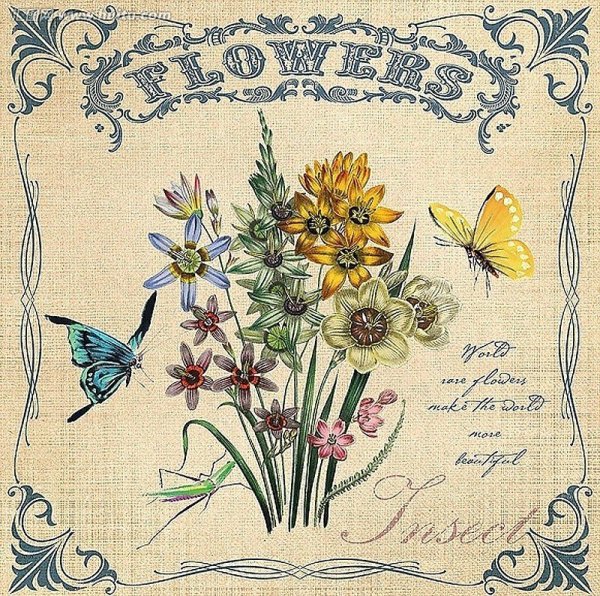 Ботаническая энциклопедия цветущие травы