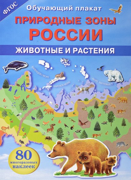 Плакат Дикие животные леса